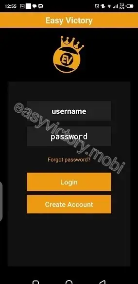 Screenshot of Easy Victory Tech-Powered Gaming